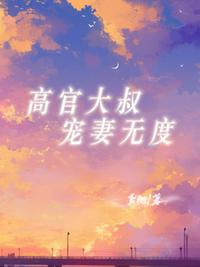 高官大叔宠妻无度